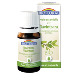 Ravintsara - 10 ml Feuille